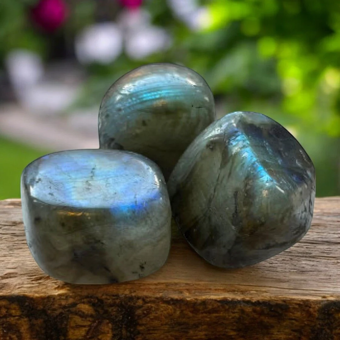 Three polished labradorite stones with blue and green flash on a piece of wood