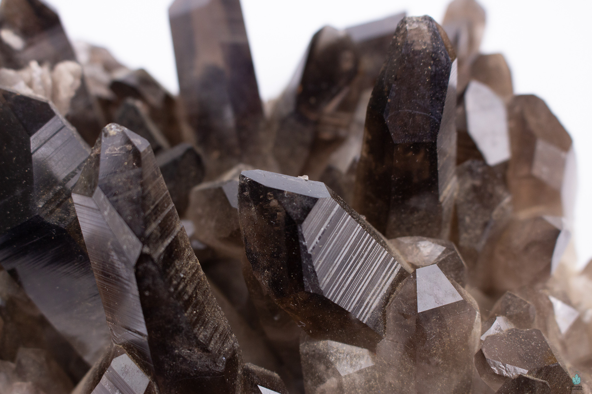 Dark, raw quartz crystals with deep brown coloring and pointed tops